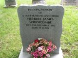 image of grave number 231415